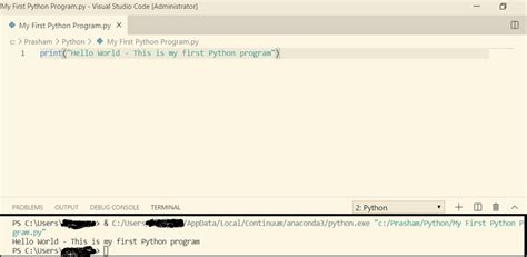 Image result for How to Write Python Code with Visual Basic