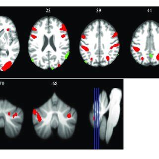 Image result for Spatial Memory Tasks