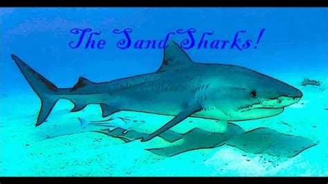 Elks Lodge, Dinner & Dancing to the music by ", The Sand Sharks" , 820 ...