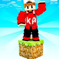 Bionic One Block Skyblock 的图像结果