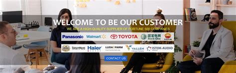 Company Overview - Guangzhou Waytronic Electronics Co., Ltd.