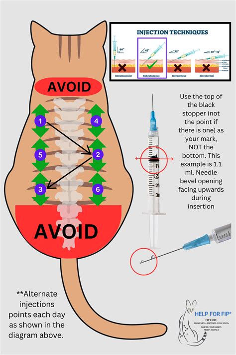 Helpful Tips and Videos To Treat Your FIP Cat — HELP FOR FIP® by Lunas FIP Legacy LLC