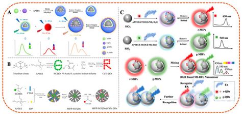 Molecularly Imprinted Ratiometric Fluorescent Sensors for Analysis of ...