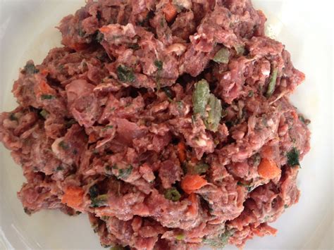 Raw Dog Food