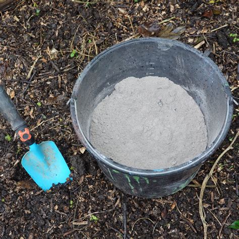 Is Wood Ash Good For A Garden at Logan Newbigin blog