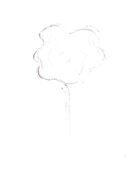 D'source From Seed to Tree | Exercises | D'Source Digital Online ...