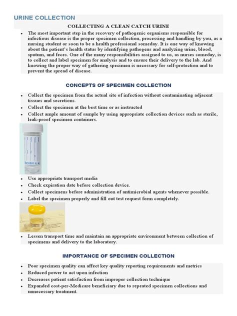 Image result for Urine Collection Method