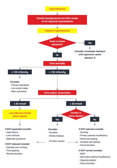 Hyponatremia Algorithm 的图像结果