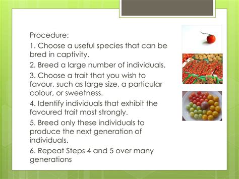 Image result for Evolution Introduction