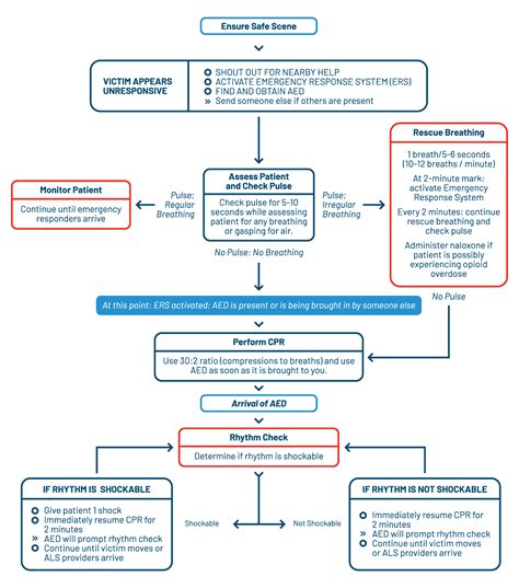 BLS Adult Cardiac Arrest Algorithm