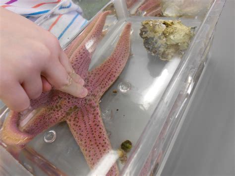 Past Projects | SEA Discovery Center