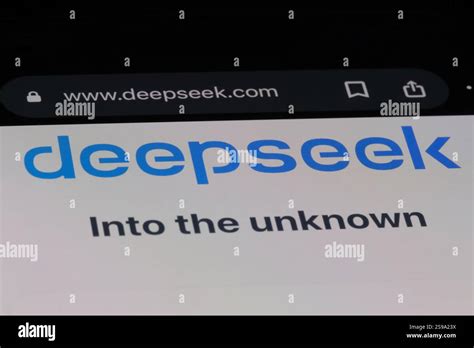Deepseek Model Logo 的图像结果