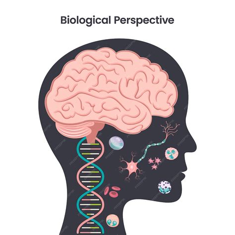 Premium Vector | Biological perspective psychology education vector illustration design