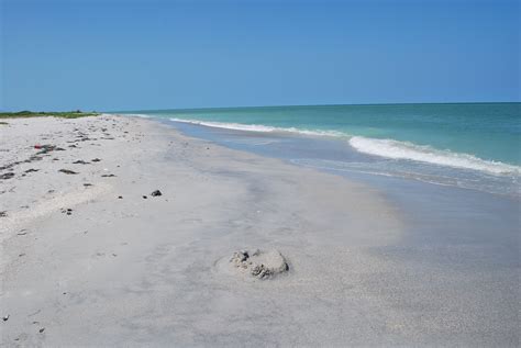 What To See On Pine Island Florida at Caitlin Samuel blog