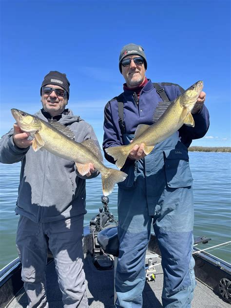 Spring Time Walleye 的图像结果