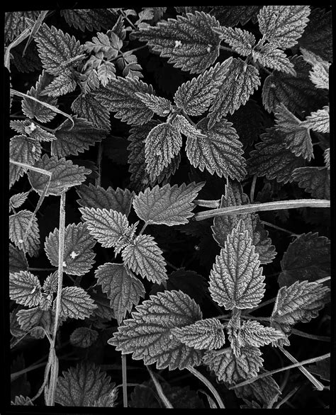 Image result for Model Rail Camera