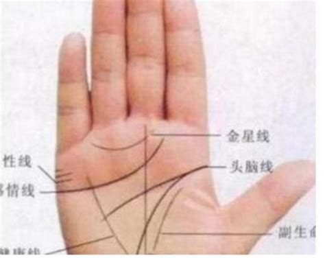 女性手纹算命图解大全 什么手相好 11种人容易短命的手相-周易算命网