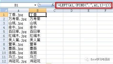 Excel中如何使用INDEX函数实现批量导入文件名？ - 天天办公网