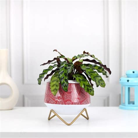 Caramel Mini Metal Planter