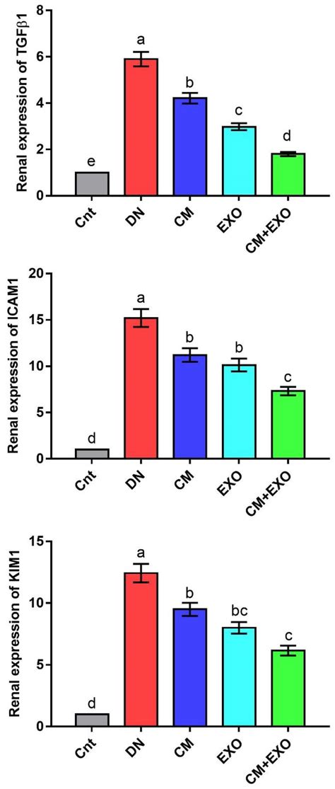 Ameliorative Effects of Camel Milk and Its Exosomes on Diabetic ...