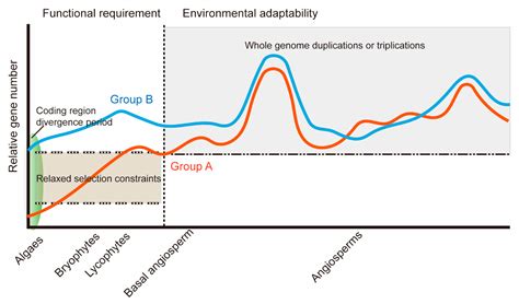 Molecular Evolutionary and Expression Pattern Analysis of AKR Genes ...