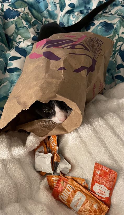 The original Taco Bell from Downey, CA was dug up and now is just ...