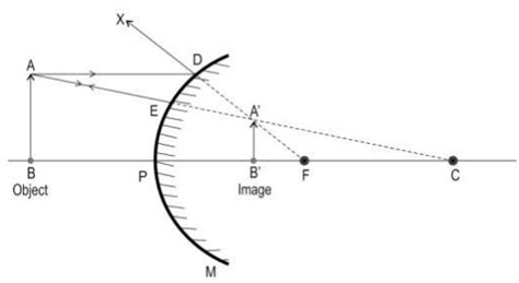 CBSE Class 10 Science Additional Practice Questions Paper 2023-24