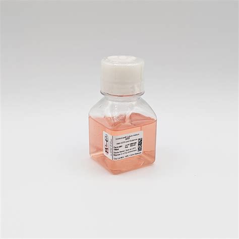 Image result for HTF Human