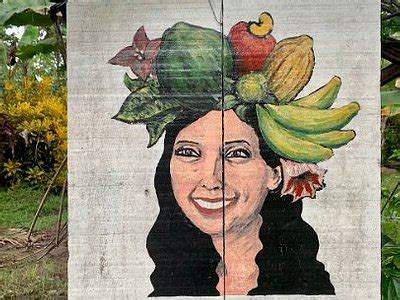 MIRADOR VALLES DE OSA (Palmar Sur) - Hotel Reviews, Photos, Rate ...