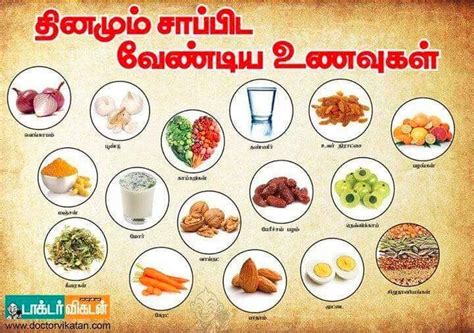 Akshaya catering services, Chennai, 10 west karikalan street adambakkam