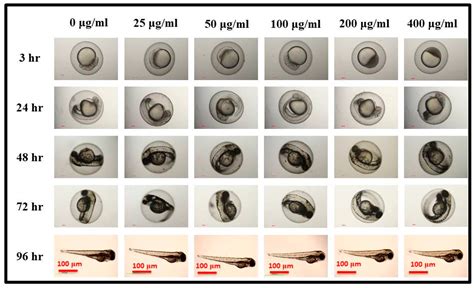Green Synthesis of Blue-Emitting Graphene Oxide Quantum Dots for In ...
