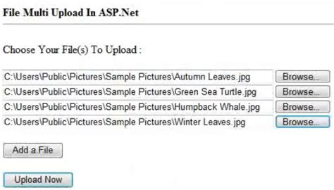 Image result for How to Upload Photo in HTML Using Python