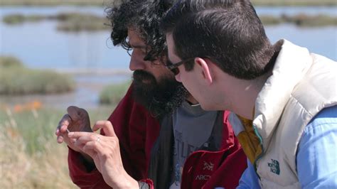 Image result for Cell Communication Lab