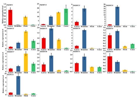 Genome-Wide Analysis of the Almond AP2/ERF Superfamily and Its ...