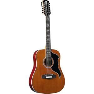 EKO Ranger VR 12-String Natural Dreadnought Acoustic Guitar : Amazon.in ...