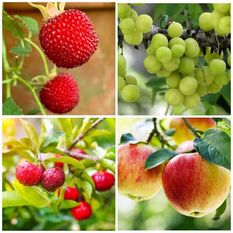 Science Connection Quiz 的图像结果