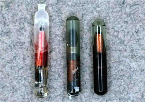 Trovan Microchip Scanner 的图像结果