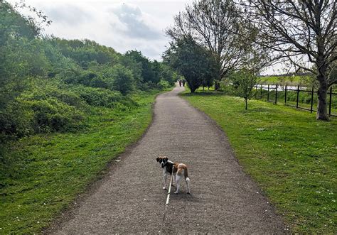 Dog Walk at Witham Country Park and Boston Central Park