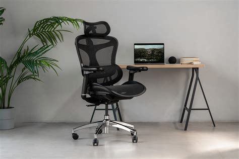 Sihoo Doro-C300 Ergonomic Office Chair