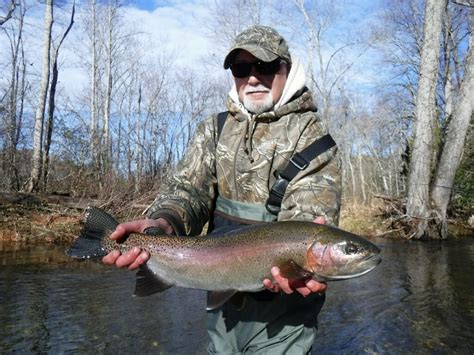 REEL 'EM IN GUIDE SERVICE (2025) All You Need to Know BEFORE You Go ...