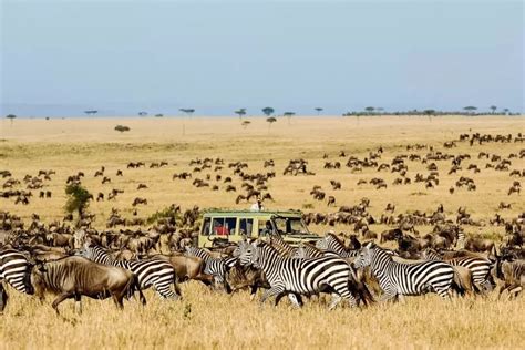 2018肯尼亚旅游攻略,肯尼亚自助游攻略,肯尼亚出游攻略游记 –百度旅游