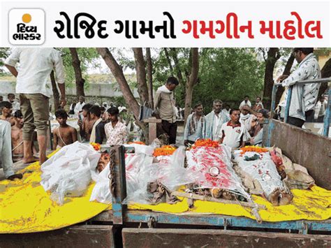 મહિલા બુટલેગર કેમિકલ સીધુ જ પાણીમાં પીવડાવતી, 15 આરોપીની ધરપકડ, 24 ...