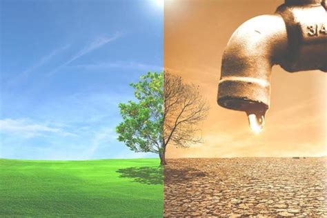 Image result for Environmental Problem Video