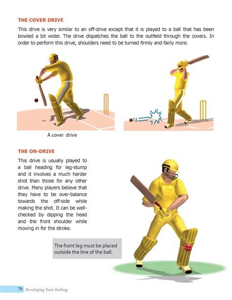 Cricket Tutorial 的图像结果