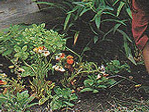 74 Science projects Ideas for Students