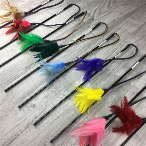 Feathers on a Leather String Cat Teaser Toy – catboutiquenet