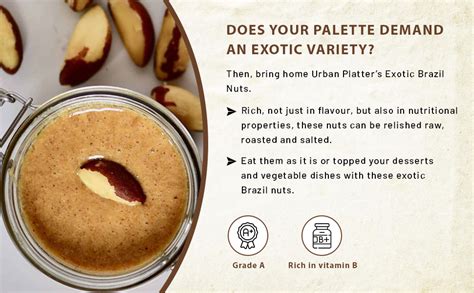 urban platter Exotic Fresh Brazil Nuts, 250 grams [Premium|Grade A|Rich ...