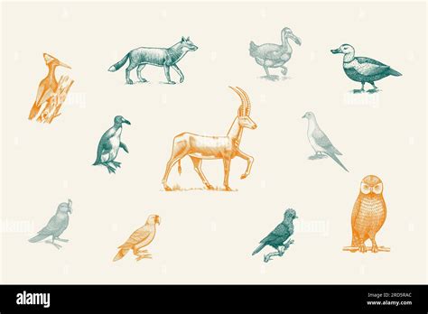 Extinction 的图像结果