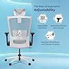 The Sleep Company Stylux Premium Ergonomic Office Chair | Patented ...