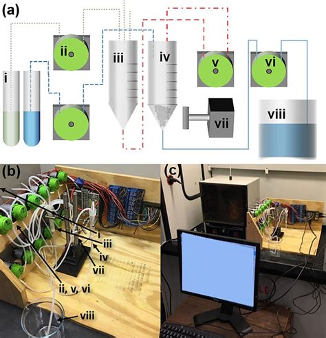 Image result for Neural Decoding Classification Difference